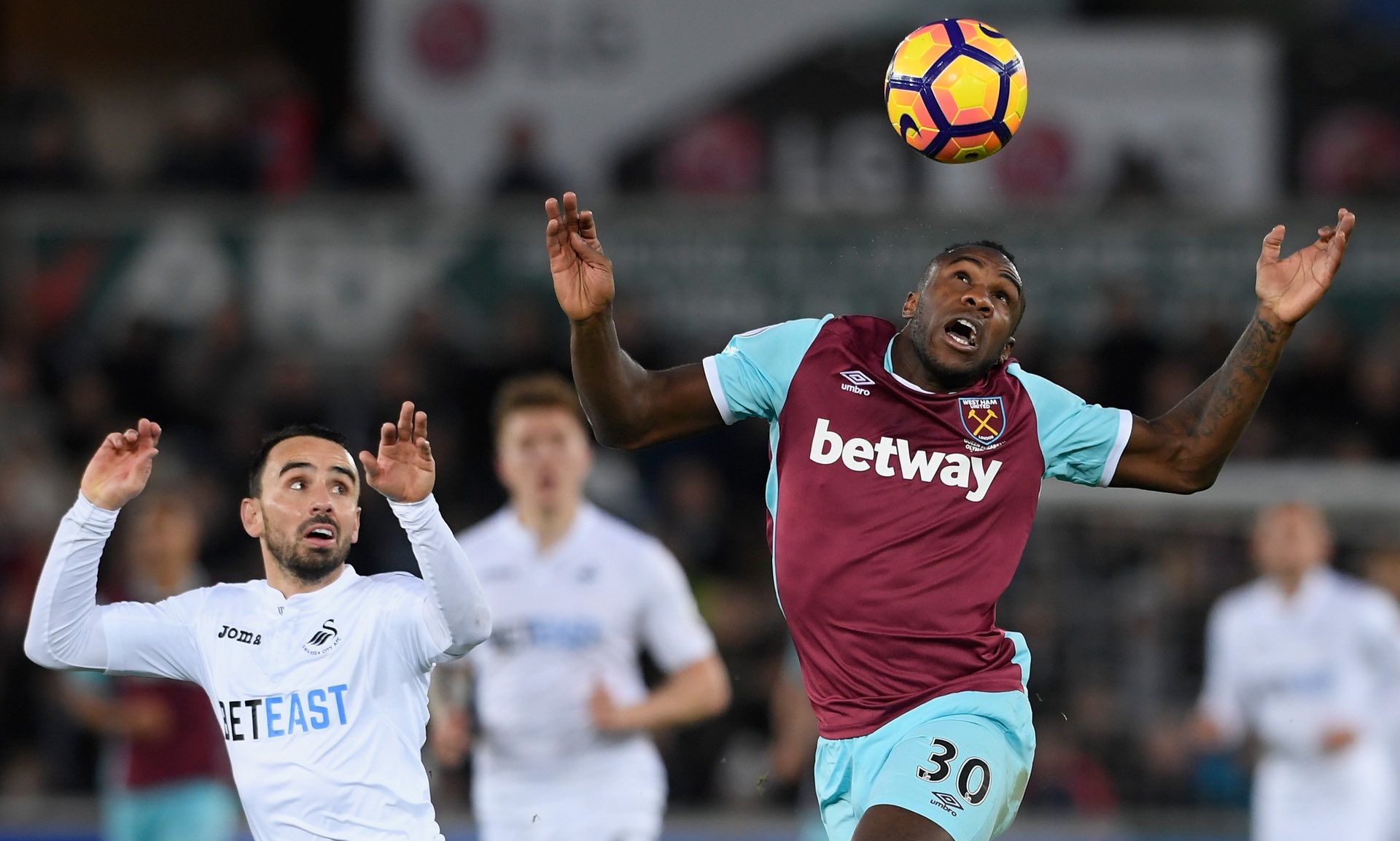 他的視野 他的視野